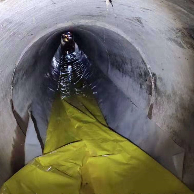 梁子湖管道光固化修复